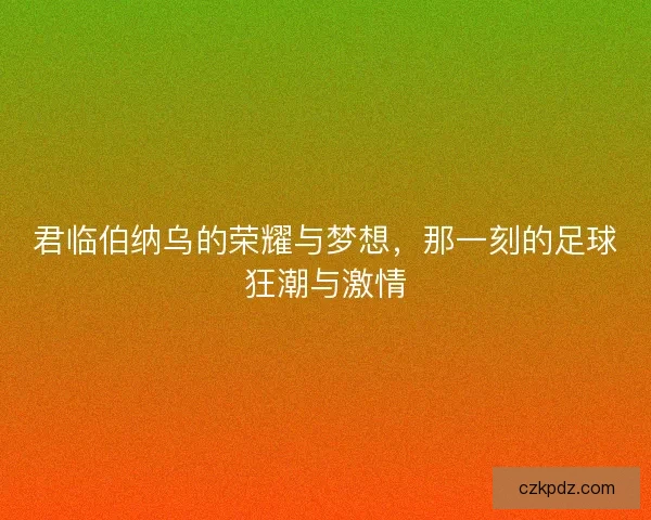 君临伯纳乌的荣耀与梦想，那一刻的足球狂潮与激情