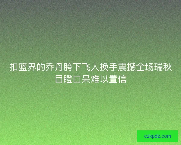 扣篮界的乔丹胯下飞人换手震撼全场瑞秋目瞪口呆难以置信